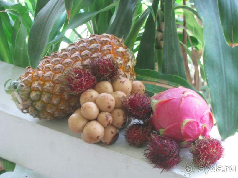 фото Sunshine Garden Resort