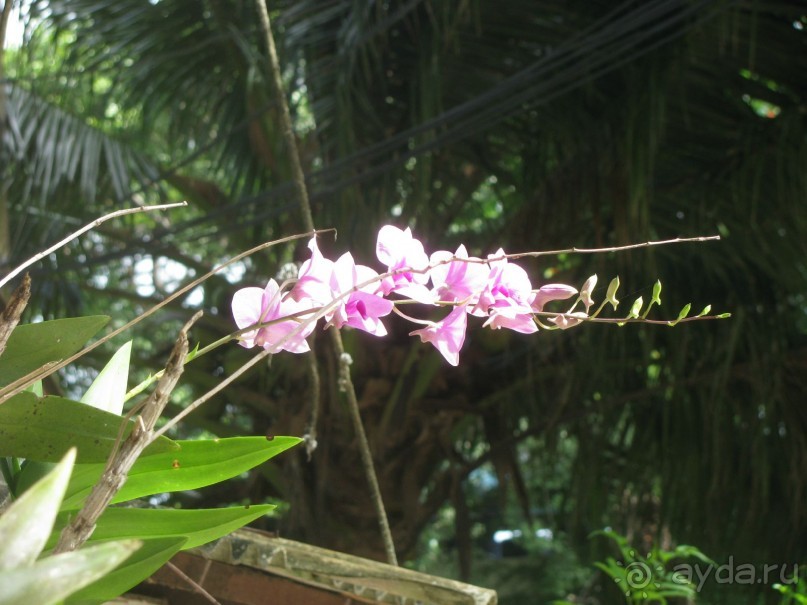 Крайности 13-й параллели (Паттайя+Самет)