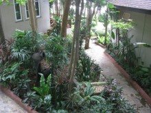 Вид с балкона