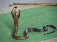 Крайности 13-й параллели (Паттайя+Самет)