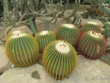 Крайности 13-й параллели (Паттайя+Самет)