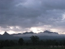 Туманный рассвет над джунглями