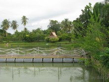 Крайности 13-й параллели (Паттайя+Самет)