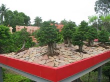 Крайности 13-й параллели (Паттайя+Самет)