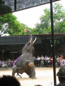 Метание дротика