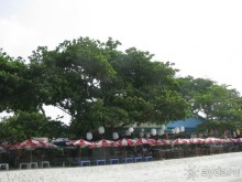 Тусовочный Сай Кью