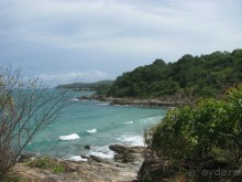 Дикий Ао Нуан