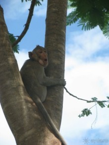 Высоко сижу-далеко гляжу