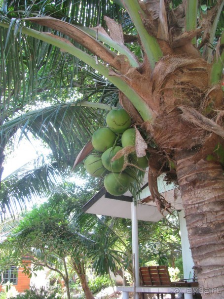 Крайности 13-й параллели (Паттайя+Самет)