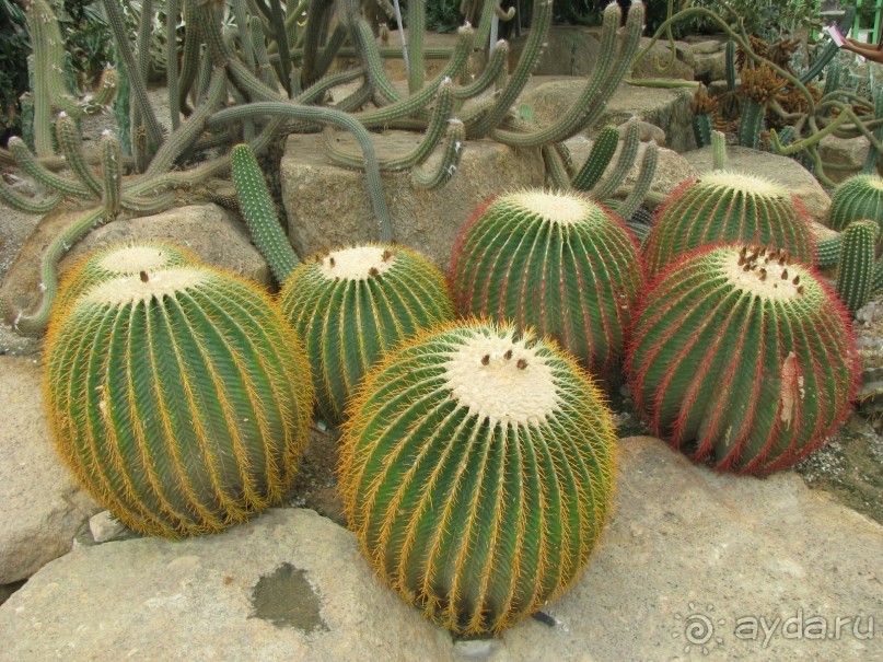 Крайности 13-й параллели (Паттайя+Самет)