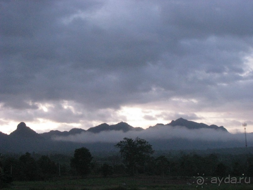 Туманный рассвет над джунглями