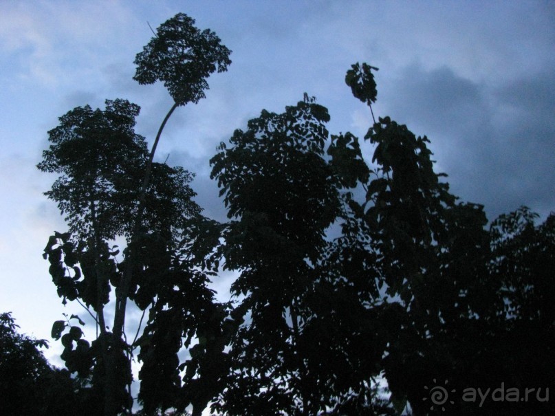 Крайности 13-й параллели (Паттайя+Самет)