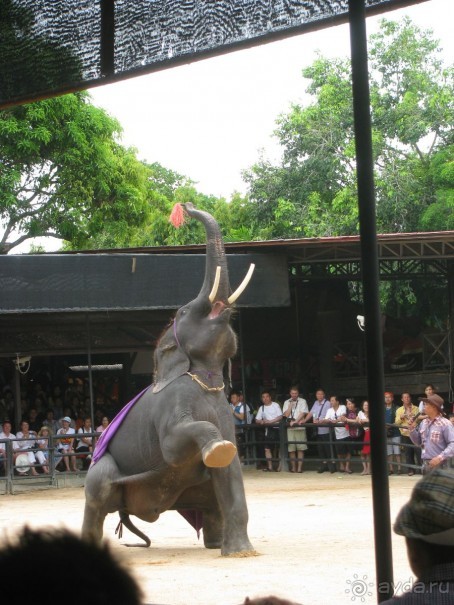 Метание дротика