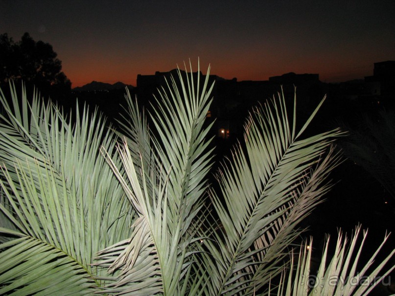 На пустыню опустилась ночь