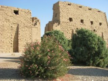 На костях вечности