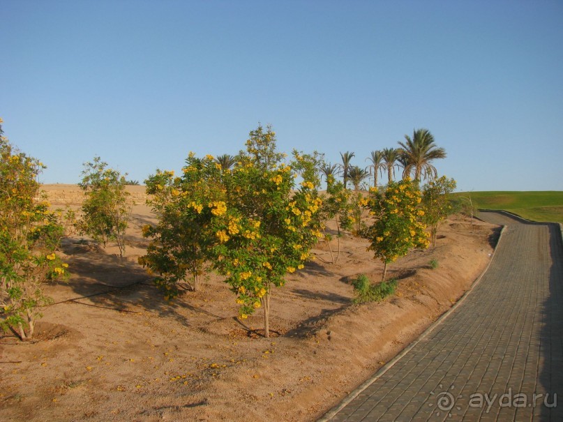Жизнь на краю смерти