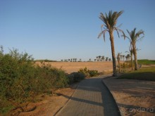 Дорога моей хабиби