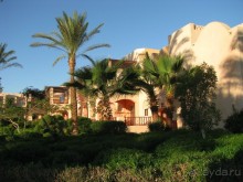 Оазис в пустыне