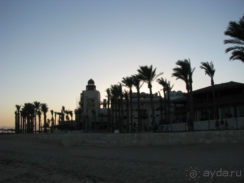 В погоне за мечтой