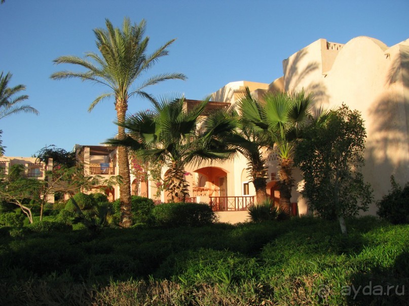 Оазис в пустыне