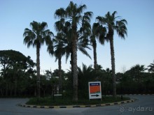 Пальмовый остров на въезде в Симену