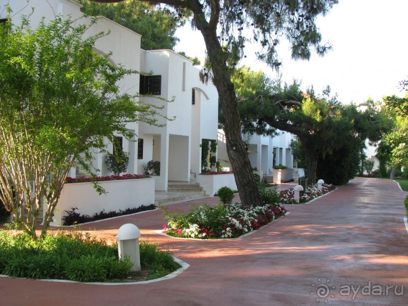 Аллеи Симены