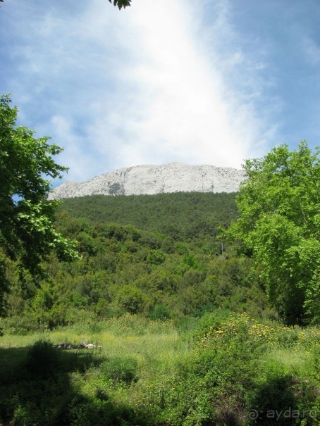 Затерянный мир (помните Конан Дойля?)