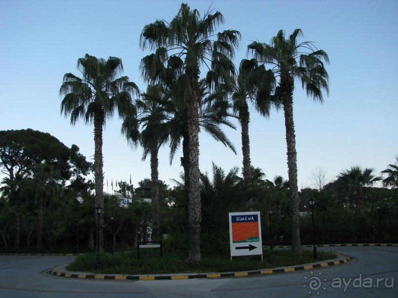 Пальмовый остров на въезде в Симену