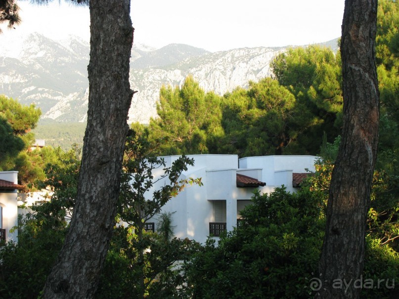 Вид с балкона