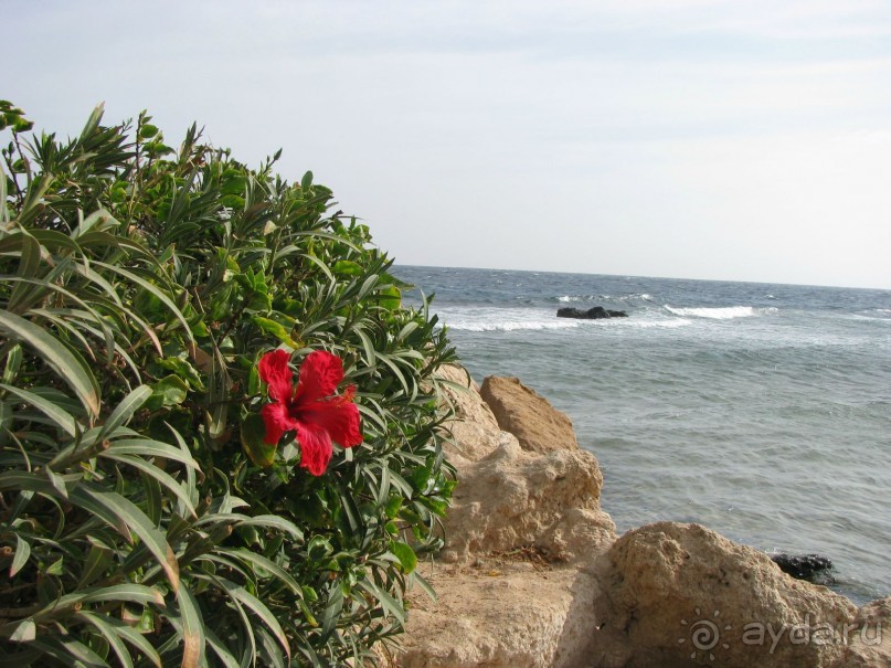 Вид от дверей номера.Слева-соседний отель "Фантазия".