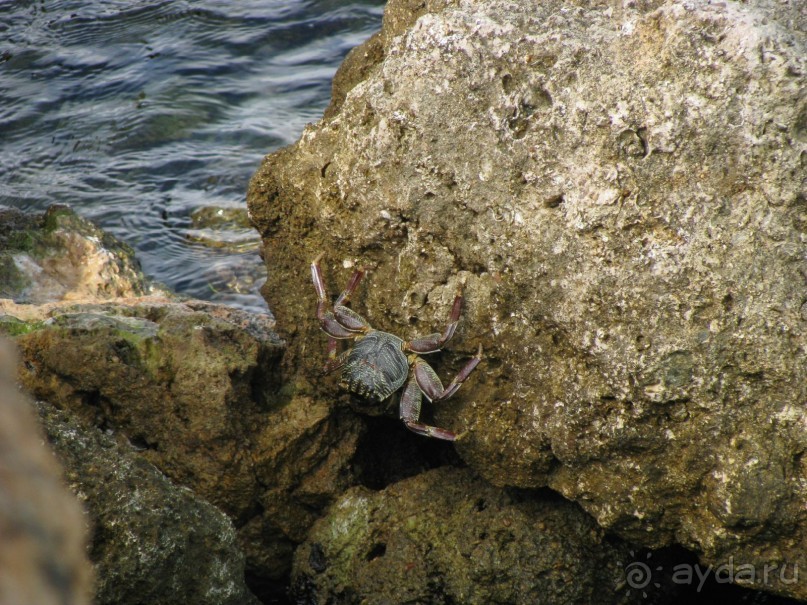 Наша крепость 