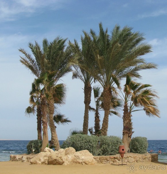 Наша крепость 