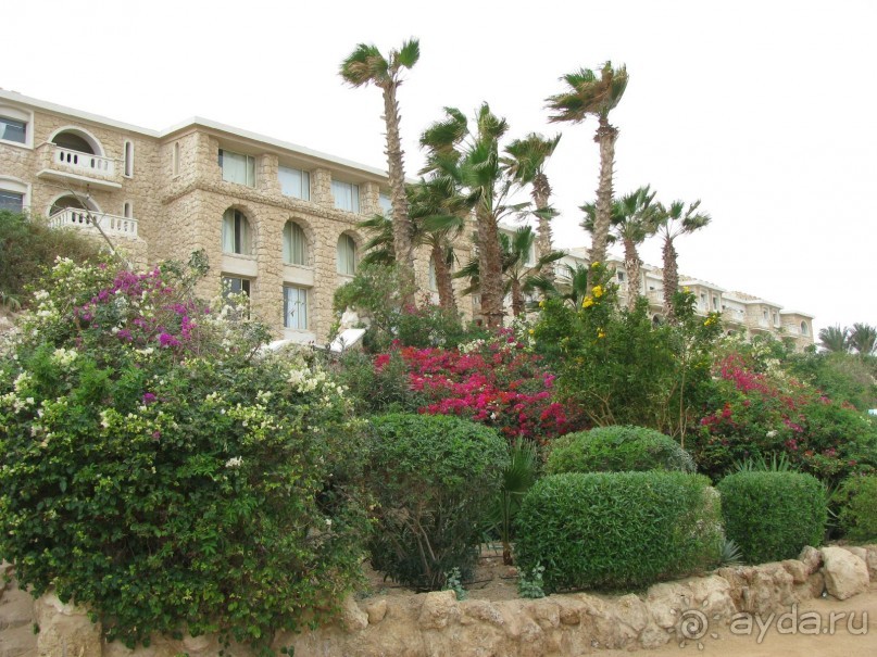 фото Pickalbatros Citadel Resort Sahl Hasheesh