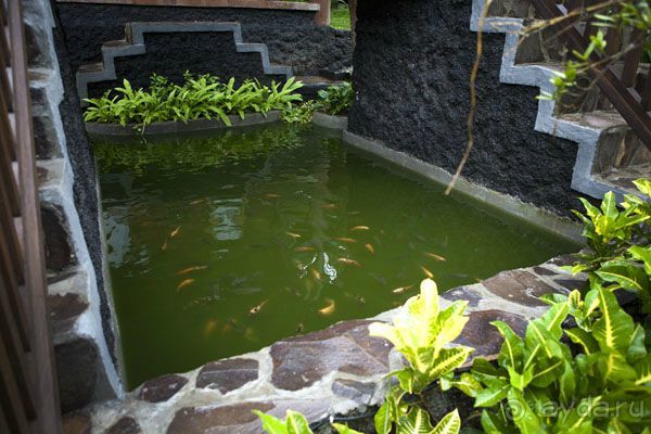 "La Dolche far niente" закончилась. 10 подсказок как удачно съездить на Бали.