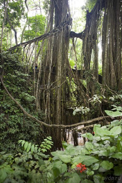 "La Dolche far niente" закончилась. 10 подсказок как удачно съездить на Бали.