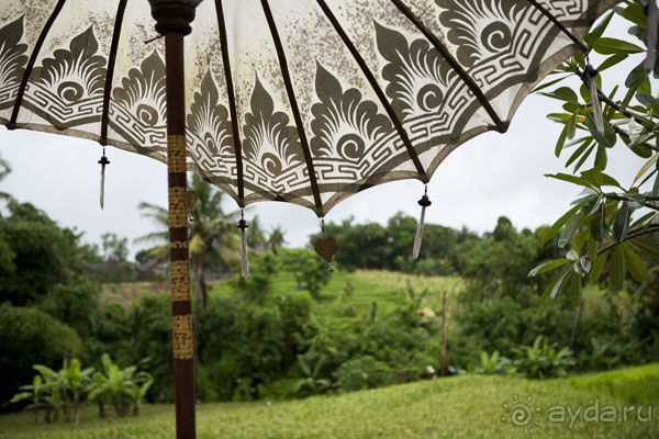 "La Dolche far niente" закончилась. 10 подсказок как удачно съездить на Бали.