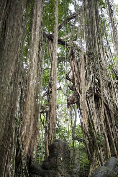 "La Dolche far niente" закончилась. 10 подсказок как удачно съездить на Бали.