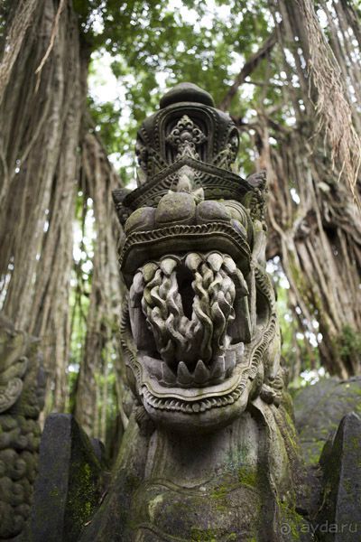 "La Dolche far niente" закончилась. 10 подсказок как удачно съездить на Бали.