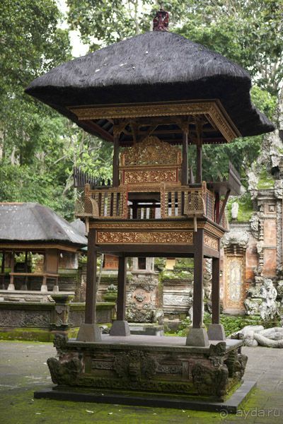 "La Dolche far niente" закончилась. 10 подсказок как удачно съездить на Бали.