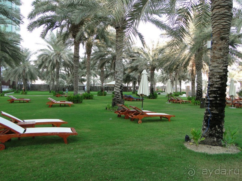 фото Sheraton Jumeira Beach Resort & Towers