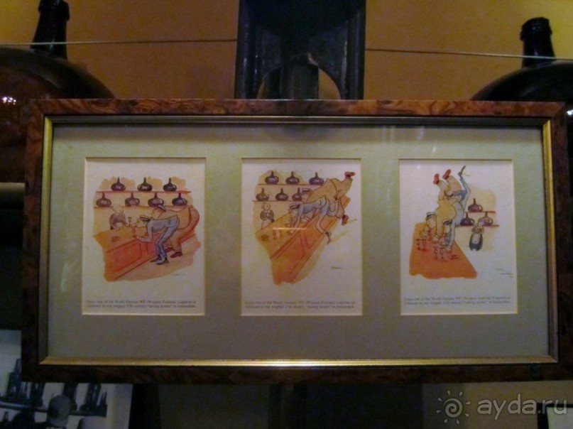 Амстердамский калейдоскоп. Часть 2-я. Полезная