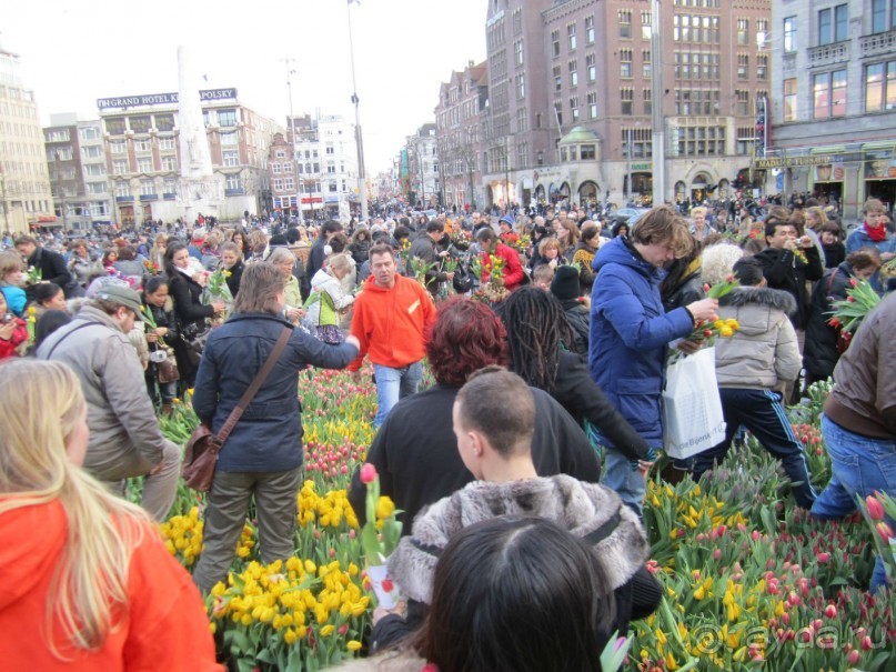 Амстердамский калейдоскоп.Часть 3-я. Примечательная