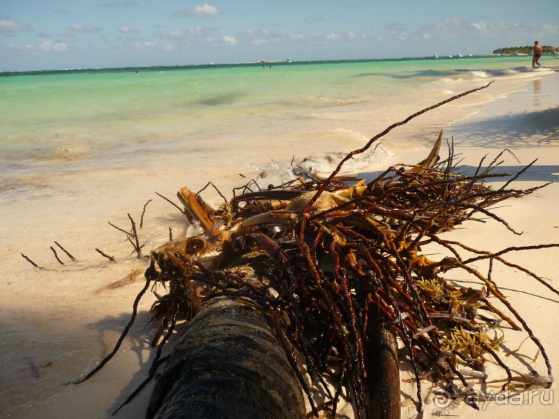 Доминикана - страна облаков, несущихся навстречу друг-другу...