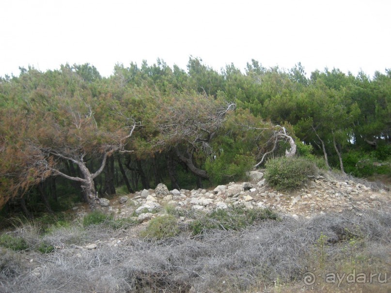 фото Sealife Buket Beach 