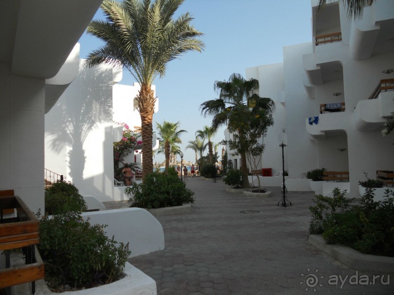 фото Marlin Inn Azur Resort 