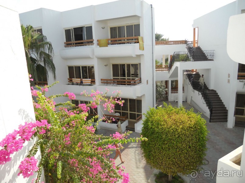 фото Marlin Inn Azur Resort 