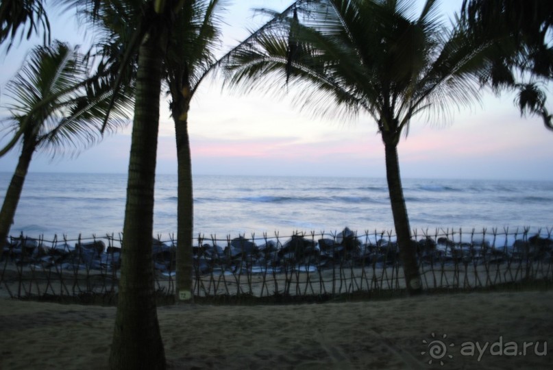 фото Siddhalepa Health