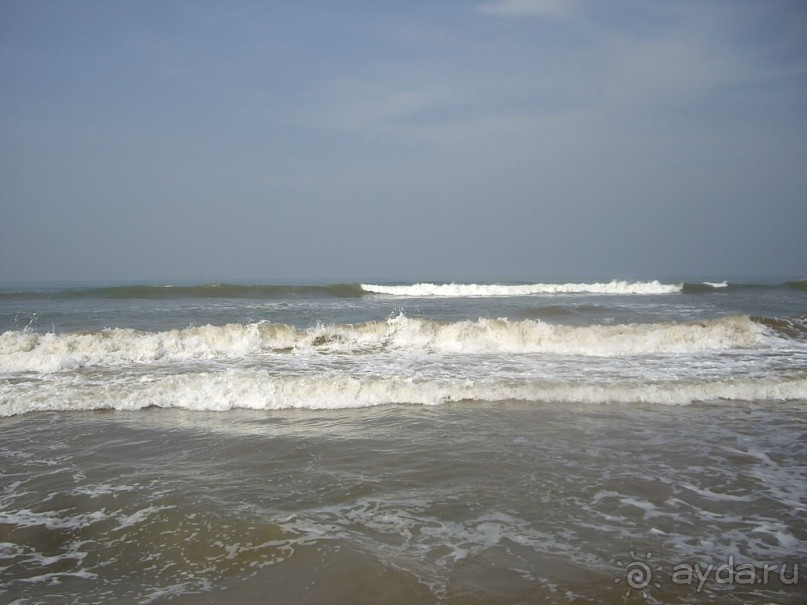 фото Siddhalepa Health