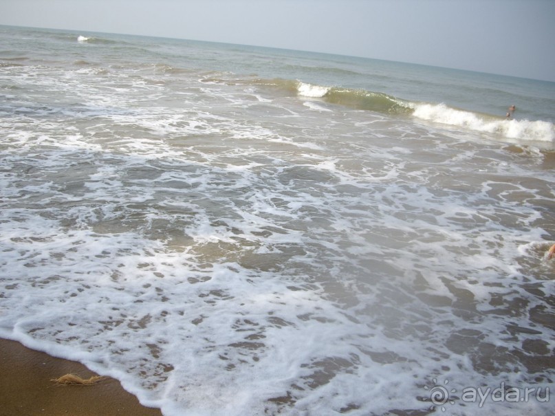 фото Siddhalepa Health