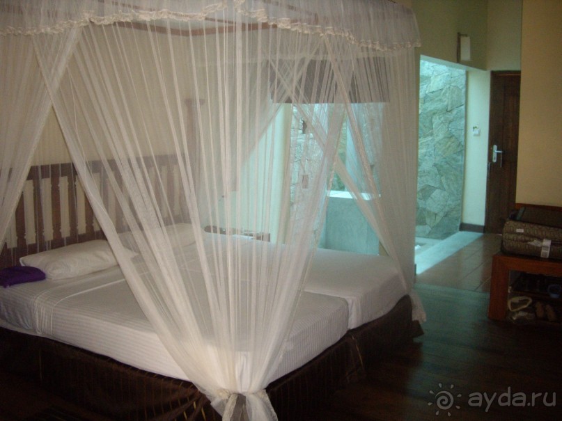 фото Siddhalepa Health